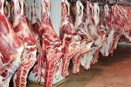 گوشت به مقدار کافی در بازار موجود است / قیمت گوسفند زنده برای محرم، کیلویی ۶۰ هزار تومان